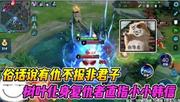 王者吃瓜树叶视频,揭秘树叶视频背后的秘密与笑料