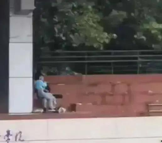 南宁学校吃瓜视频,揭秘校园生活趣味瞬间