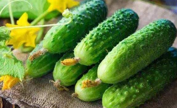 种的瓜种子可以吃吗视频,揭秘可食用瓜种子的奥秘