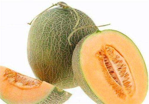 吃哈密瓜食物视频教程大全,视频大全带你轻松学会各式哈密瓜料理