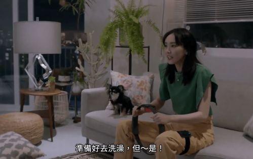 艾文吃瓜村长最新视频