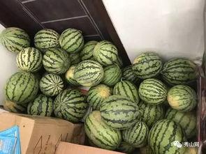 瓮安最新吃瓜消息视频大全,揭秘热门事件幕后真相