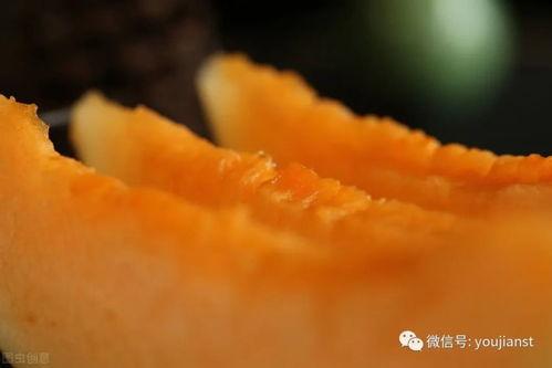 一个认真的吃瓜视频图片,一场视觉盛宴的幕后花絮